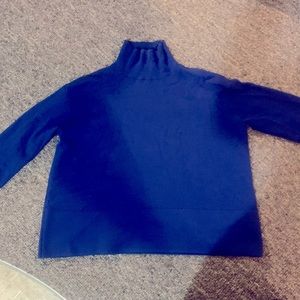 Everlane Cashmere Square Turtleneck Sweater